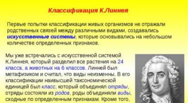 Конспект по биологии на тему «Многообразие органического мира